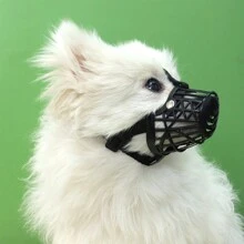 Dog Muzzle, Breathable Plastic Muzzle To Prevent Biting, Licking & Chewing For Small Dogs, With Training Clicker