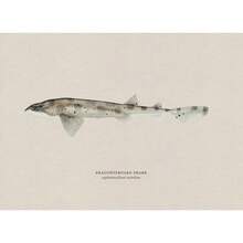 1pc Vintage Nước ngọt Nước mặn Nghiên cứu Áp phích Nghệ thuật Cá Retro Canvas Vẽ Tranh Và In Hình Ảnh Cho Phòng Khách Hunt Club Decor Không Có Khung - Nhiều màu - Xem 88