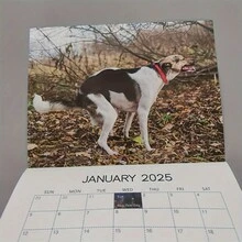 2025 年，狗会在涂有防水涂层的美丽墙壁上排便。每日概览，风景如画的环境中幽默的狗排便。每月网格页面，年度计划 - 彩色 - 查看 9