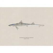 1pc Vintage Nước ngọt Nước mặn Nghiên cứu Áp phích Nghệ thuật Cá Retro Canvas Vẽ Tranh Và In Hình Ảnh Cho Phòng Khách Hunt Club Decor Không Có Khung - Nhiều màu - Xem 22