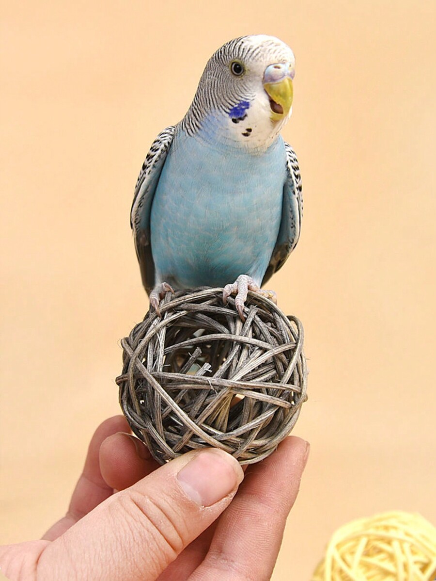 Parrot Foraging Toys, Chewing Toys, Shredding Training, Companionship