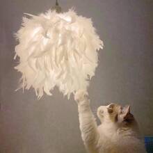 200 peças de penas de ganso de 6 a 10 cm para artesanato, asas de anjo e suprimentos para apanhadores de sonhos - penas coloridas decorativas para chapéus, artesanato, casamento, festa de Natal, decoração de casa e adereços fotográficos