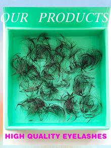 500 Fans Per Box,6D,Thickness 0.05mm,Three-Dimensional Effect,Curl D,Sharp Narrow Stem Premade Fans Eyelash Extension,Cluster Eyelashes,Natural & Soft,Hand-Grafted False Eyelasheslash Clusters,Eyelash Clusters,Individual Eyelashes,Lashes,Fake Lashes