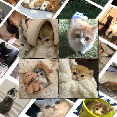 63 件模糊猫涂鸦印花防水 PVC 贴纸，可重新定位，适用于笔记本电脑、杯子、滑板、冰箱装饰，DIY-Q-4562，贴纸，墙贴花，乙烯基贴花，用于家居装饰，春季装饰品，让您的家焕然一新，节日装饰贴纸礼物生日毕业