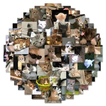 63 pièces Autocollants imperméables en PVC imprimés avec des griffonnages de chats flous, repositionnables, pour ordinateur portable, tasse, planche à roulettes, décoration de réfrigérateur, DIY-Q-4562, autocollants, décalcomanie murale, décalcomanie en vinyle pour décorations de la maison, articles de décoration de printemps pour rafraîchir votre maison, autocollants de décoration de fête, cadeaux pour anniversaire et remise de diplômes