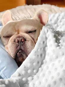 Custom Cat/Dog Blanket With Name , Double Layer Dotted Backing Pet Blanket , Dog Name Blanket For Memorial Gift, Soft Name Blanket, Personalized Gift For Pet Ornamental,Cat Stylish,Cute,Colorful,Cuties Unique,Customized Home Goods Ideal Gifts For Him,Ideal Gifts For Her Her,Family,Friends,Pet Lovers,Pet For Anniversaries,For Birthdays Ornamental,Engraved Stylish,Fashion,Colorful,Vintage,Cute,Contracted,Cuties Custom,Unique,Customized,Personalized Pet For Anniversaries,For Birthdays,Customized Pet Supplies,Tendencia Local - Multicolor - View 4