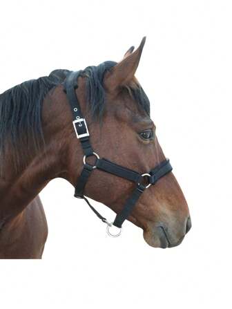 带羊毛衬里的马笼头，可调节的马笼头，缎面五金件可防止摩擦，马用分离式笼头，非常适合牵引和表演