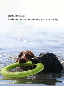 Pet Flying Pet Flying Disc Toy For Interactive Play - PC Material Durable Fetch Toy, Perfect For Outdoor Training & Bonding With Dogs/Cats, Lightweight Easy To Throw