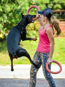 Pet Flying Pet Flying Disc Toy For Interactive Play - PC Material Durable Fetch Toy, Perfect For Outdoor Training & Bonding With Dogs/Cats, Lightweight Easy To Throw