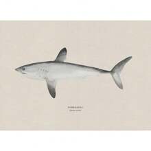 1pc Vintage Nước ngọt Nước mặn Nghiên cứu Áp phích Nghệ thuật Cá Retro Canvas Vẽ Tranh Và In Hình Ảnh Cho Phòng Khách Hunt Club Decor Không Có Khung - Nhiều màu - Xem 87