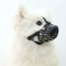 Dog Muzzle, Breathable Plastic Muzzle To Prevent Biting, Licking & Chewing For Small Dogs, With Training Clicker