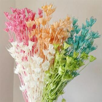 1 มัด ดอกไม้แห้งรูปวงรีเปลี่ยนไม่ได้ (มากกว่า 60 ดอก) วัสดุงานฝีมือ DIY ตกแต่งห้องนั่งเล่น ตกแต่งวัดดอกไม้ งานแต่งงาน พื้นหลังถ่ายภาพ สไตล์ชนบท ดอกไม้วินเทจ ตกแต่งห้องนอน ศิลปะและการสร้างสรรค์ทางวัฒนธรรม เหมาะสำหรับฤดูใบไม้ร่วง/ฤดูหนาว ฮาโลวีนและเทศกาลอื่น ๆ