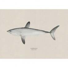 1pc Vintage Nước ngọt Nước mặn Nghiên cứu Áp phích Nghệ thuật Cá Retro Canvas Vẽ Tranh Và In Hình Ảnh Cho Phòng Khách Hunt Club Decor Không Có Khung - Nhiều màu - Xem 98