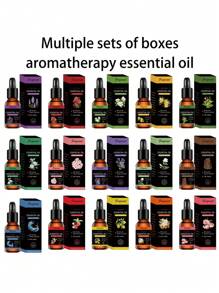 15 Fragrances/10ml/Aromatherapy Essential Oil Hotel Car Aromatherapy Lavender Rose High Concentration Water-Soluble Essential Oil Gypsum Fragrance Specialized For Fumigation Machines - Other - View 1