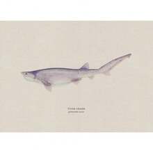 1pc Vintage Nước ngọt Nước mặn Nghiên cứu Áp phích Nghệ thuật Cá Retro Canvas Vẽ Tranh Và In Hình Ảnh Cho Phòng Khách Hunt Club Decor Không Có Khung - Nhiều màu - Xem 16