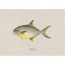 1pc Vintage Nước ngọt Nước mặn Nghiên cứu Áp phích Nghệ thuật Cá Retro Canvas Vẽ Tranh Và In Hình Ảnh Cho Phòng Khách Hunt Club Decor Không Có Khung - Nhiều màu - Xem 101