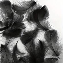 200 peças de penas de ganso de 6 a 10 cm para artesanato, asas de anjo e suprimentos para apanhadores de sonhos - penas coloridas decorativas para chapéus, artesanato, casamento, festa de Natal, decoração de casa e adereços fotográficos