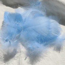 200 peças de penas de ganso de 6 a 10 cm para artesanato, asas de anjo e suprimentos para apanhadores de sonhos - penas coloridas decorativas para chapéus, artesanato, casamento, festa de Natal, decoração de casa e adereços fotográficos