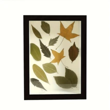 1pc Elegant 3D Shadow Box Display Stand For Herbaria, Tickets And Souvenirs - Wooden Cutout Design With Glitter Details, Perfect For Wall Or Tabletop Decoration, Home Decor Room Decoration Artificial Gifts Birthday Graduation