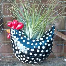 1- Chậu trồng cây hình con gà trống - Chậu trồng cây mọng nước bằng nhựa sáng tạo | Đồ trang trí sân vườn hình con gà trống, Giá đỡ dụng cụ hình con gà trống màu đen và trắng Chậu trồng cây hình con gà trống chấm bi, Tượng nhựa dùng để trang trí trong nhà/ngoài trời - Thích hợp cho Giáng sinh, Lễ tạ ơn, v.v. - Gà chấm bi - Xem 8