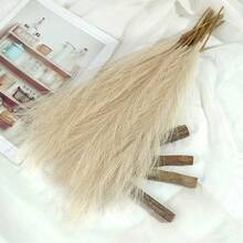 20 bó hoa cỏ Pampas nhân tạo trang trí nội thất phòng khách bàn cửa sổ sàn trang trí đám cưới phong cách Bohemian - Nhiều màu - Xem 16