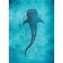 1 件蓝色水彩海洋生物鲸鲨蝠鲼海报海滩冲浪帆布画墙壁艺术适用于房间家居装饰无框架 - 彩色 - 查看 37