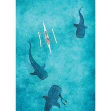 1 件蓝色水彩海洋生物鲸鲨蝠鲼海报海滩冲浪帆布画墙壁艺术适用于房间家居装饰无框架 - 彩色 - 查看 26