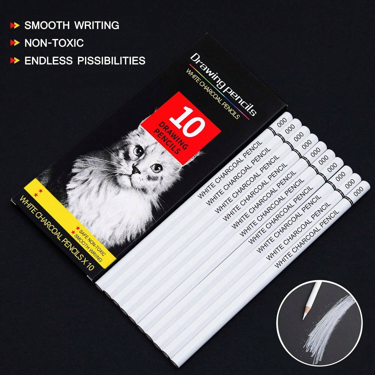 White Charcoal Pencils For Drawing, Professional 10 Pieces White