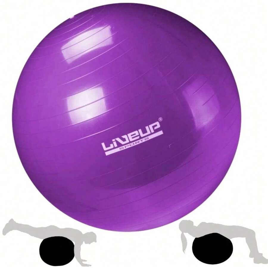 55 CM SWISS BALL FOR PILATES AND YOGA PURPLE COLOR - 紫色 - 查看 1