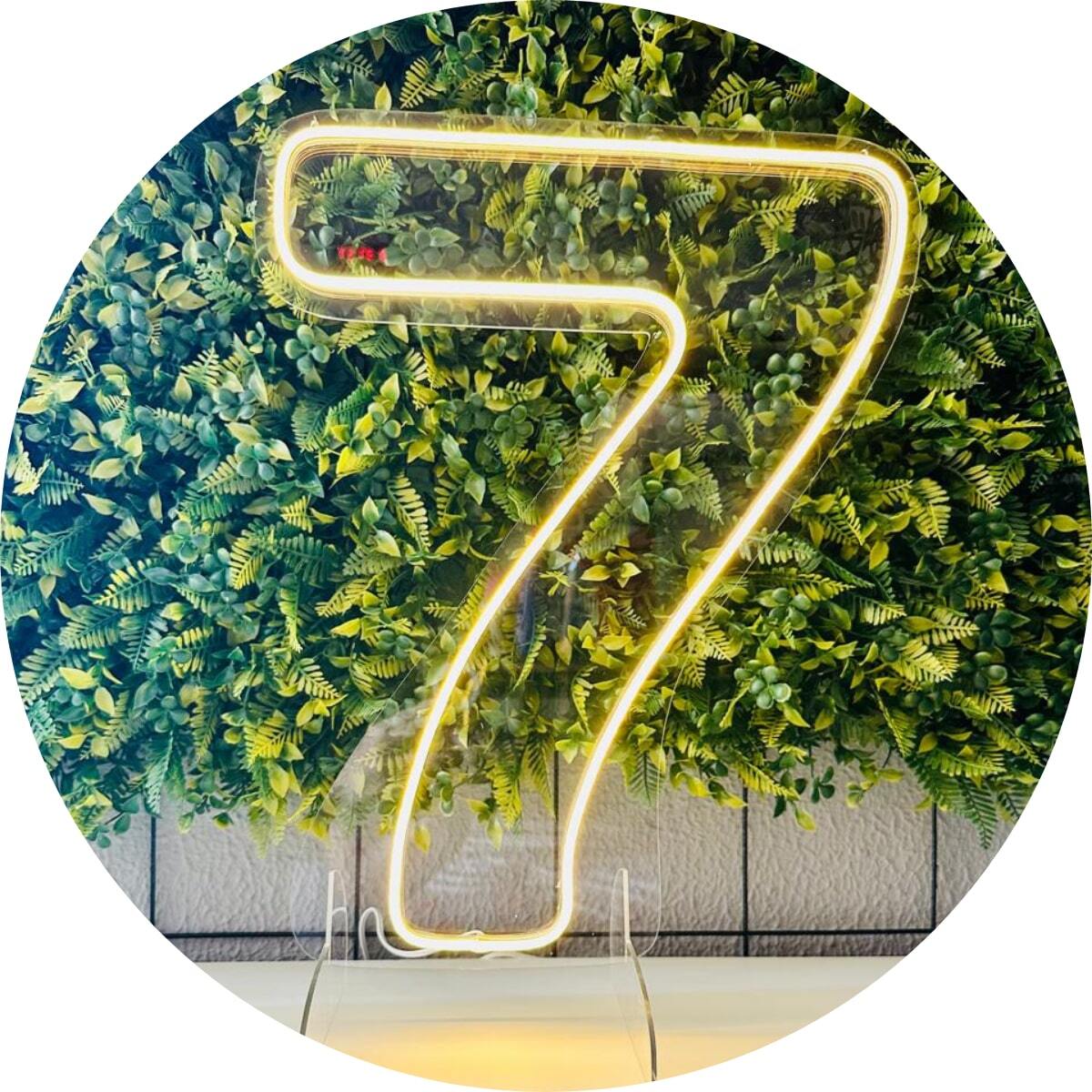 Painel Led Neon Número 7 Sete Acrílico Transp 50cm Altura | SHEIN Brasil