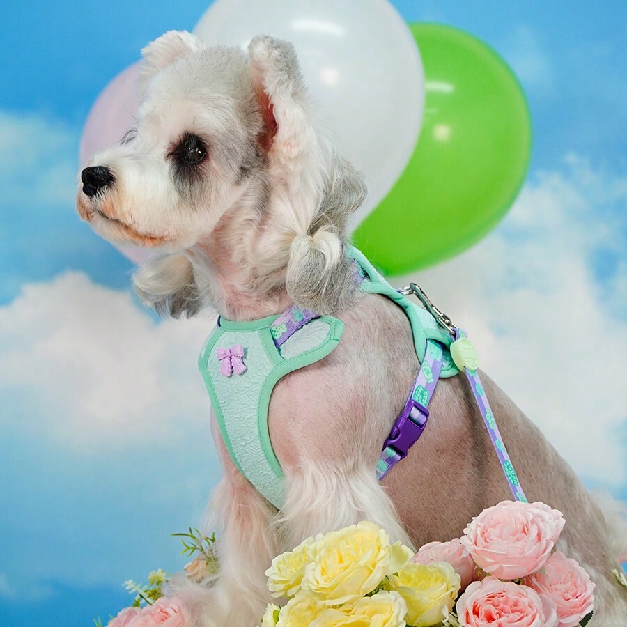 Touchdog Candy Color Puppy Harness Leash Set, Escape Proof For Small