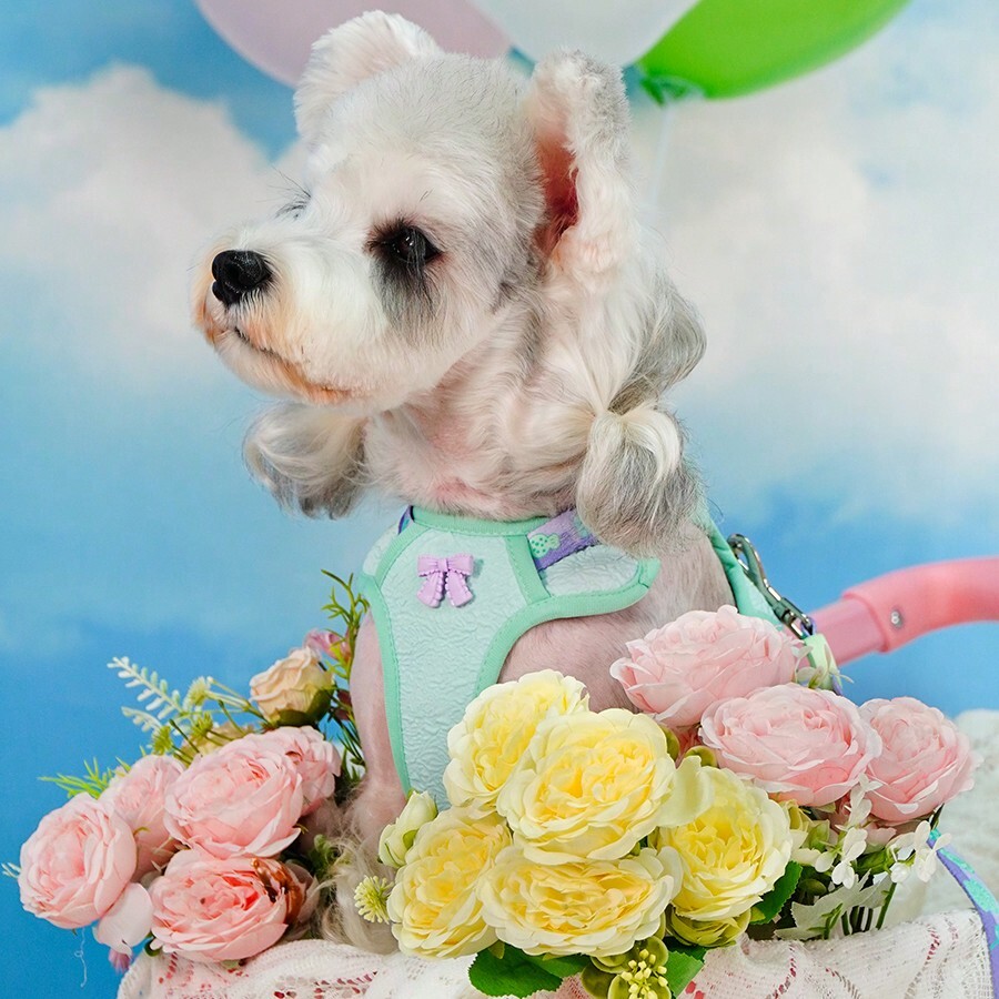 Touchdog Candy Color Puppy Harness Leash Set, Escape Proof For Small