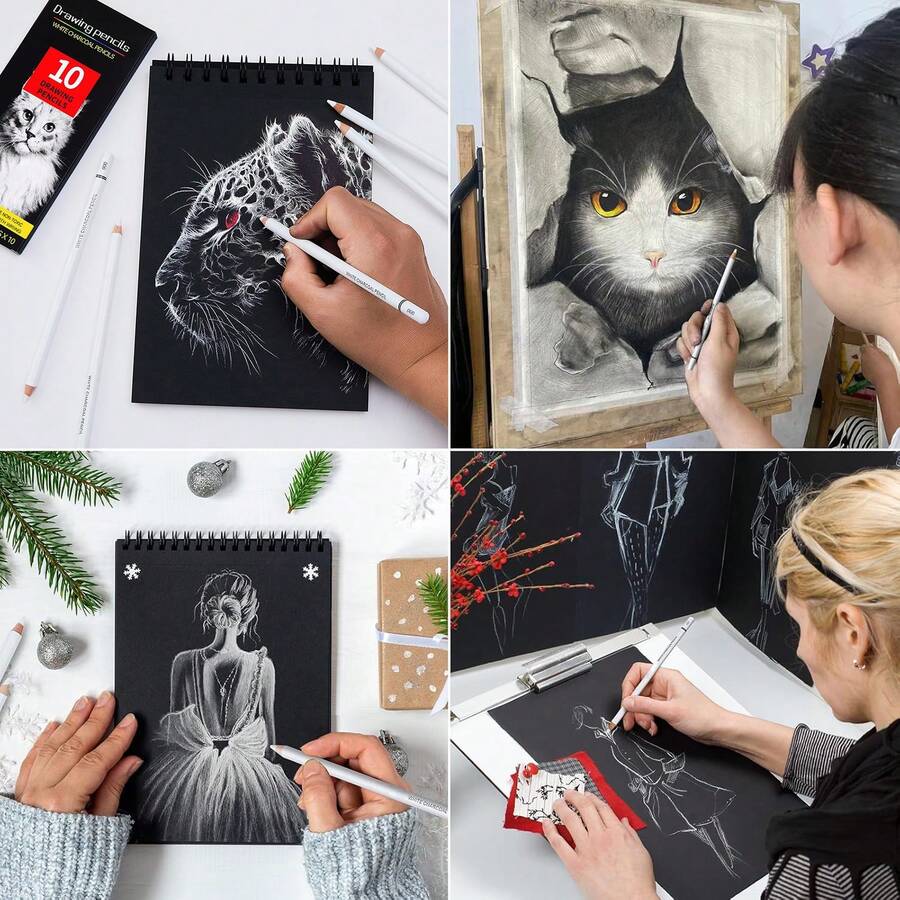 White Charcoal Pencils For Drawing, Professional 10 Pieces White