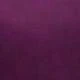 Red Violet