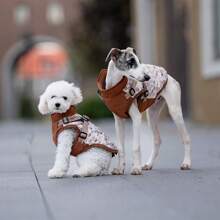 Veste pour chien, gilet en polaire pour animaux de compagnie avec boucle réglable, double anneaux en D, manteau résistant au froid et réfléchissant, convient aux chiens de taille moyenne à petite