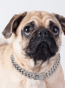 1pc Pet Dog Big Gold Chain Collar Decoration, 45cm/17.71in Cat Necklace With Cubic Zirconia, Chain And Clasp