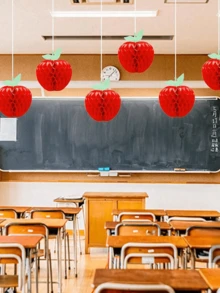 2/5/10 tờ giấy lụa hình tổ ong hình quả táo, giấy treo trang trí hình quả táo, vật dụng treo táo cho trang trí tiệc sinh nhật phòng tắm trong vườn, màu đỏ - Đỏ - Xem 3