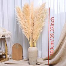 [4/8/10/20入組]天然蘆葦/萬壽菊花束/聖誕節diy裝飾/稻草幹花/有庫存