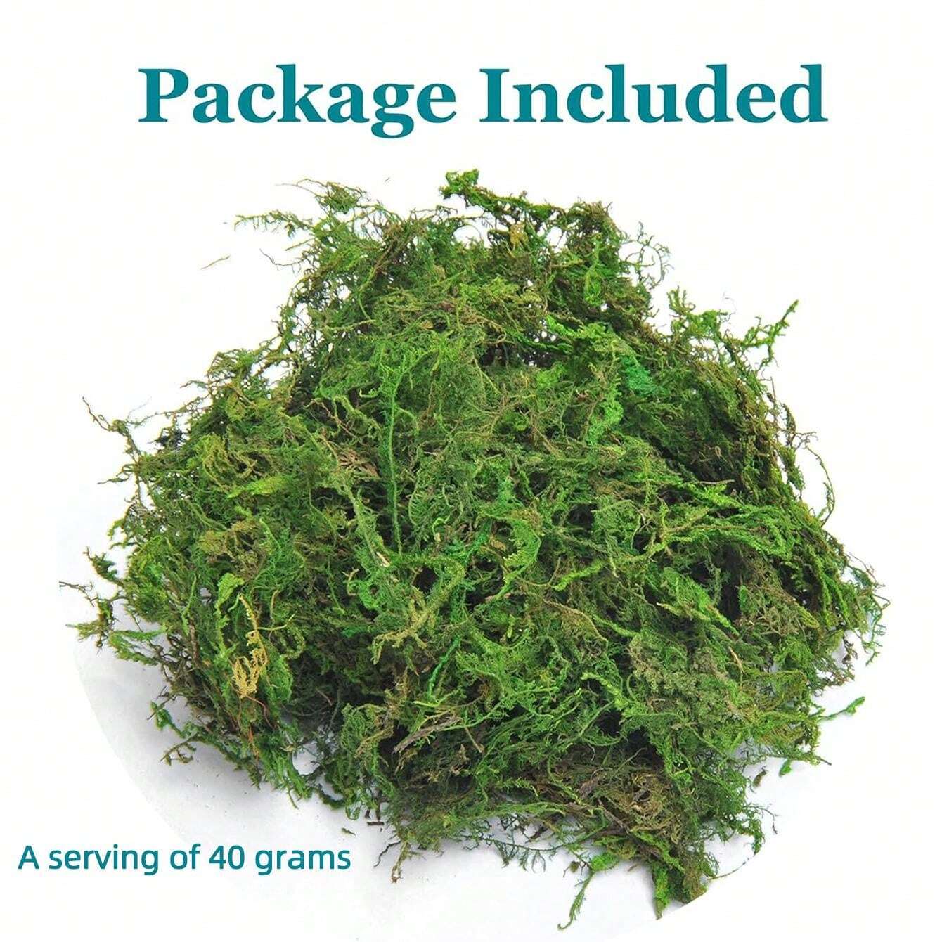 Faux Moss For Potted Plants Artificial Moss For Crafts Fake Moss Decor