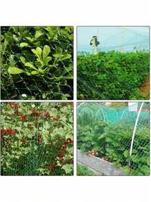 1 Pack, Bird Netting For Garden, 13Ft X 33Ft Reusable Garden Netting Plants Barrier, Plant Netting Mesh Net Protect Fruit Seedlings Plants From Birds, Cicadas, Squirrels, Rodents
