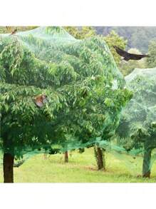 1 Pack, Bird Netting For Garden, 13Ft X 33Ft Reusable Garden Netting Plants Barrier, Plant Netting Mesh Net Protect Fruit Seedlings Plants From Birds, Cicadas, Squirrels, Rodents