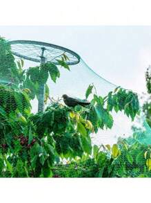 1 Pack, Bird Netting For Garden, 13Ft X 33Ft Reusable Garden Netting Plants Barrier, Plant Netting Mesh Net Protect Fruit Seedlings Plants From Birds, Cicadas, Squirrels, Rodents