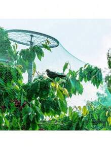 1 Pack, Bird Netting For Garden, 13Ft X 33Ft Reusable Garden Netting Plants Barrier, Plant Netting Mesh Net Protect Fruit Seedlings Plants From Birds, Cicadas, Squirrels, Rodents