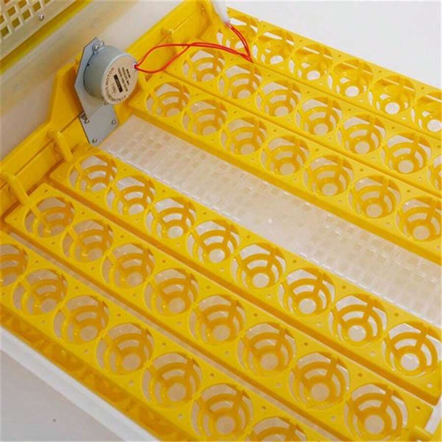 48 Eggs Incubator For Hatching Poultry, Smart Incubator With Clear