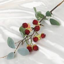 人造植物：覆盆子红浆果、桑葚、红浆果、假花、家居装饰、摄影道具、婚礼装饰 - 酒紅色 - 查看 4