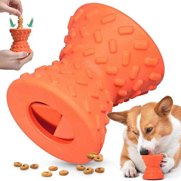 1 pièce Jouet thérapeutique interactif pour chien - Os à mâcher pour chiens agressifs - Super jouets pour chiens - Os de jouet pour chien résistant, haltère en caoutchouc naturel avec couinement