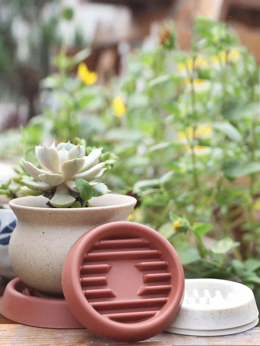 2件装多肉植物圆形排水盘 绿植盆托 桌面花盆底板 树脂透气滴水盘 加厚排水盘 - 彩色 - 查看 1