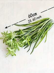 1 pieza Planta suculenta colgante artificial, decoración de pared con planta de helecho falsa - Clorofito blanco - Ver 3