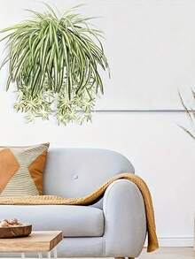 1 pieza Planta suculenta colgante artificial, decoración de pared con planta de helecho falsa - Clorofito blanco - Ver 5