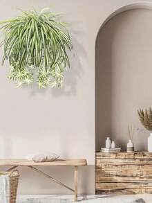 1 pieza Planta suculenta colgante artificial, decoración de pared con planta de helecho falsa - Clorofito blanco - Ver 7